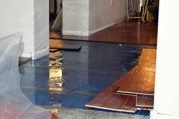 Professional Water Damage Restoration technician working in Santa Fe, TX